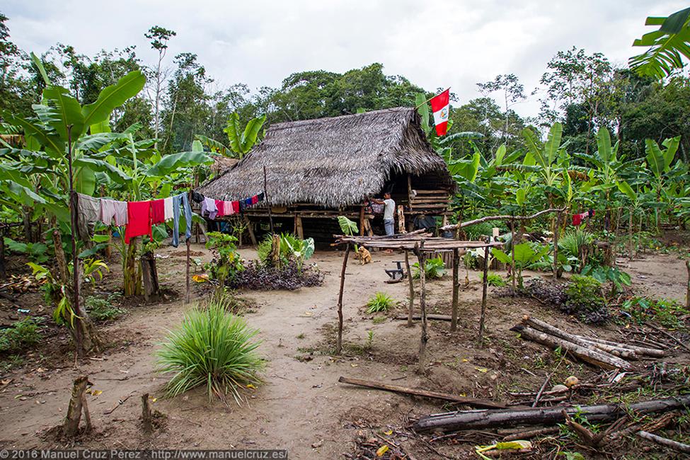 Casa en medio de la selva baja en la orilla del Huallaga.